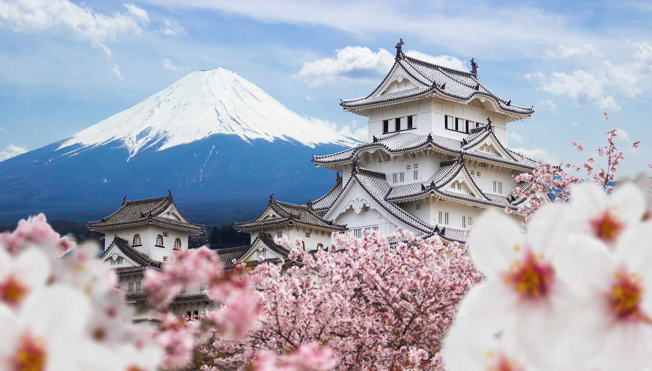 Japanisch A1 1. Semester (Anfängerkurs) 25W-850