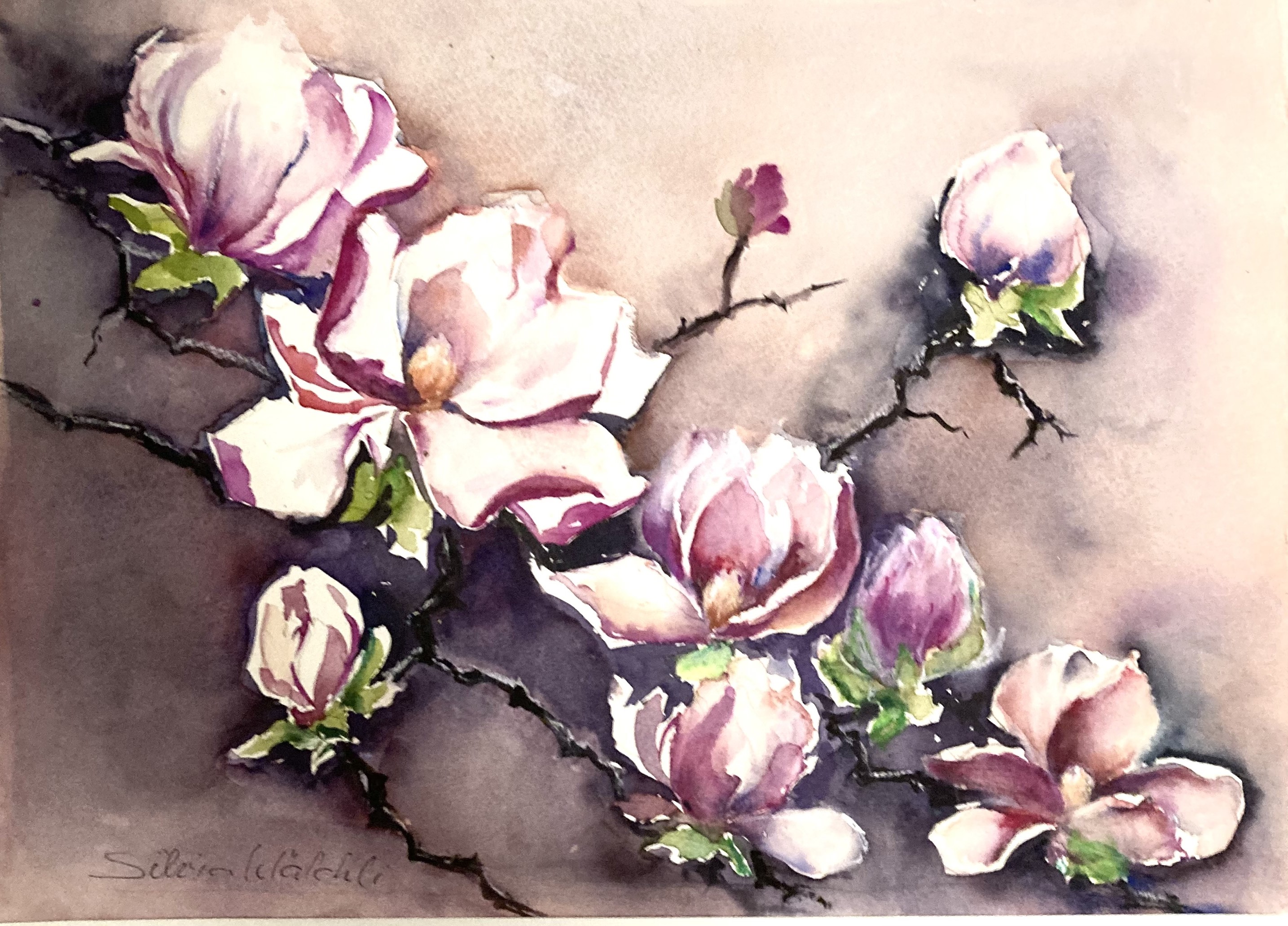 Aquarellmalen (Mittwochkurs) 26S-602